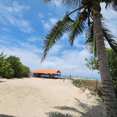 Hotel La Jungla Puerto Villamil Kültér fotó