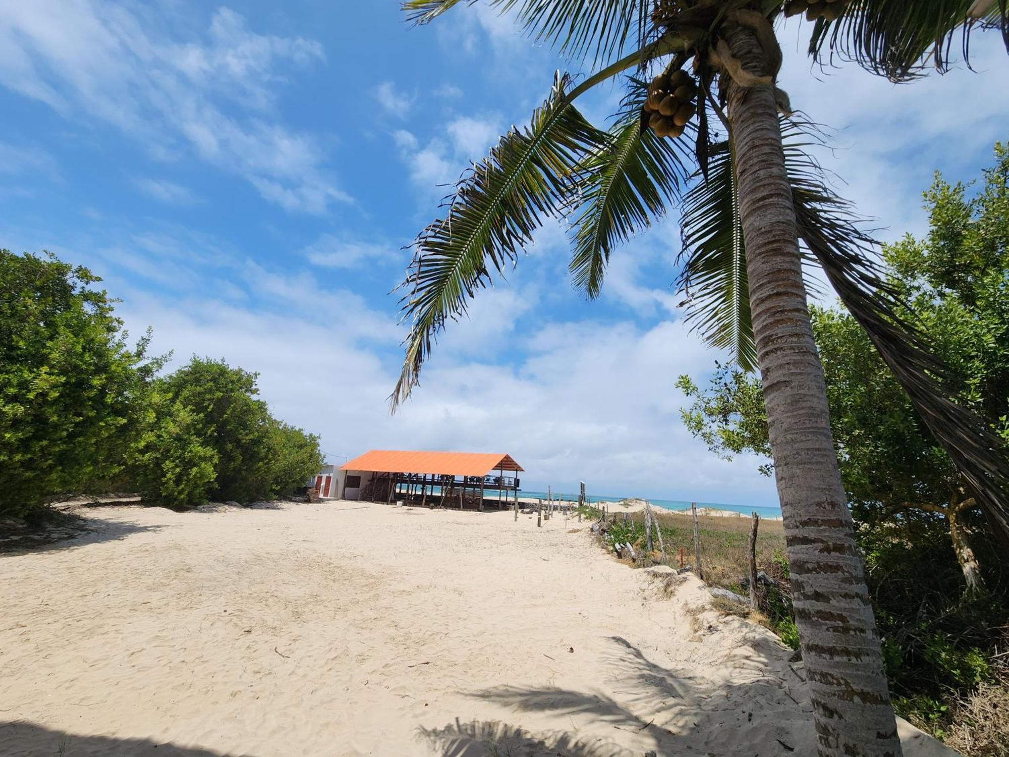 Hotel La Jungla Puerto Villamil Kültér fotó